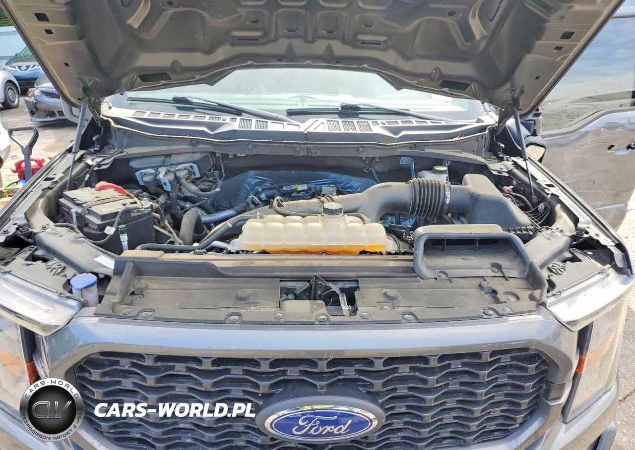 2023 Ford F150 Supercrew VIN:1FTEW1CP8PKE31333 - 11