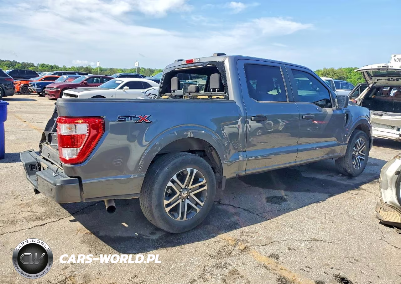2023 Ford F150 Supercrew VIN:1FTEW1CP8PKE31333 - 3