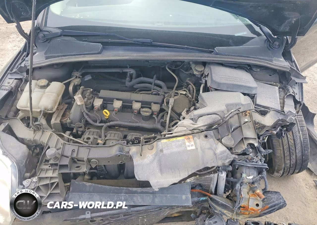2014 Ford Focus Se VIN:1FADP3F27EL154921 - 11