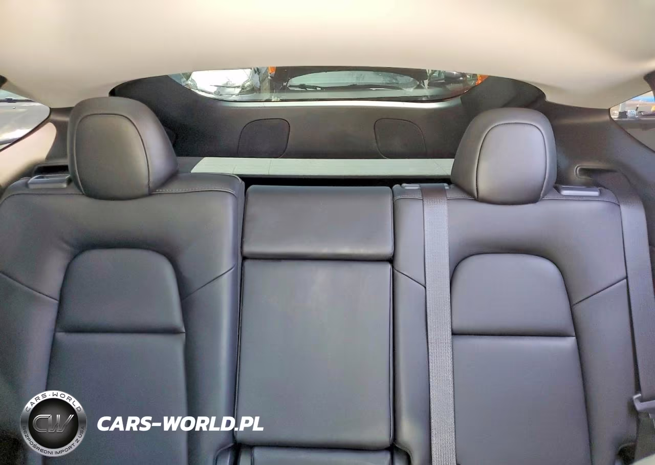 2024 Tesla Model Y VIN:7SAYGDEE9RF025927 - 10