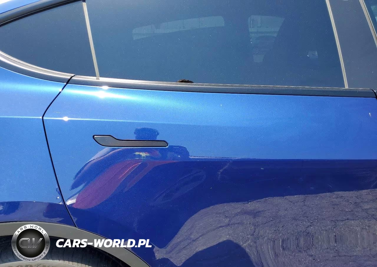 2024 Tesla Model Y VIN:7SAYGDEE9RF025927 - 11