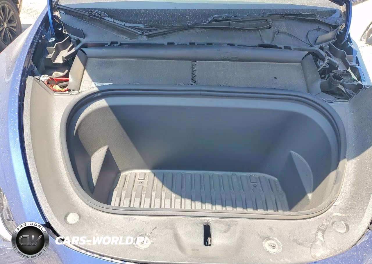 2024 Tesla Model Y VIN:7SAYGDEE9RF025927 - 12