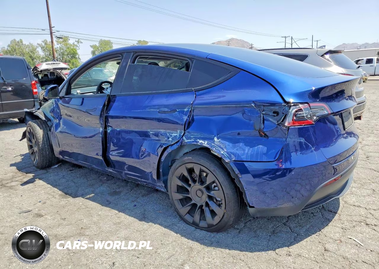 2024 Tesla Model Y VIN:7SAYGDEE9RF025927 - 2