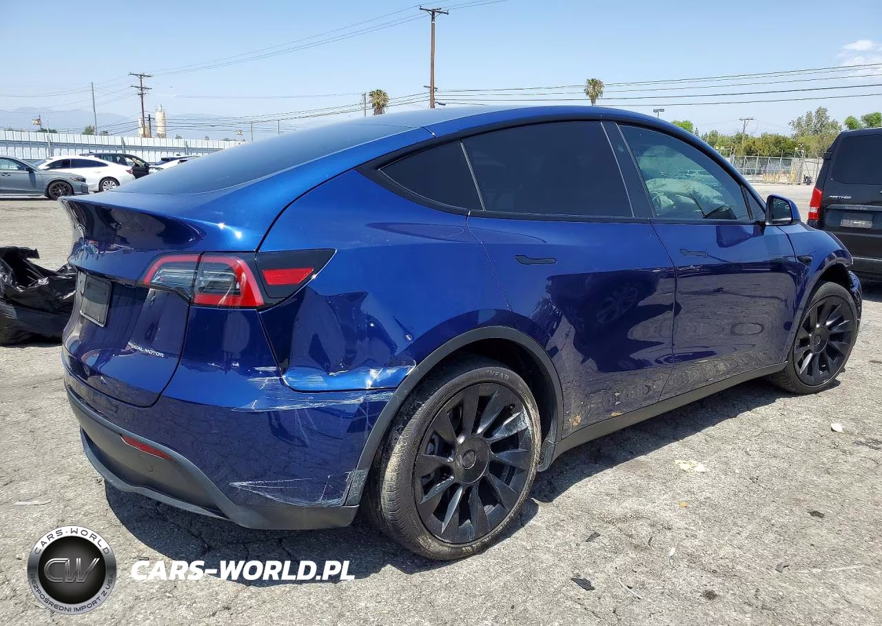 2024 Tesla Model Y VIN:7SAYGDEE9RF025927 - 3