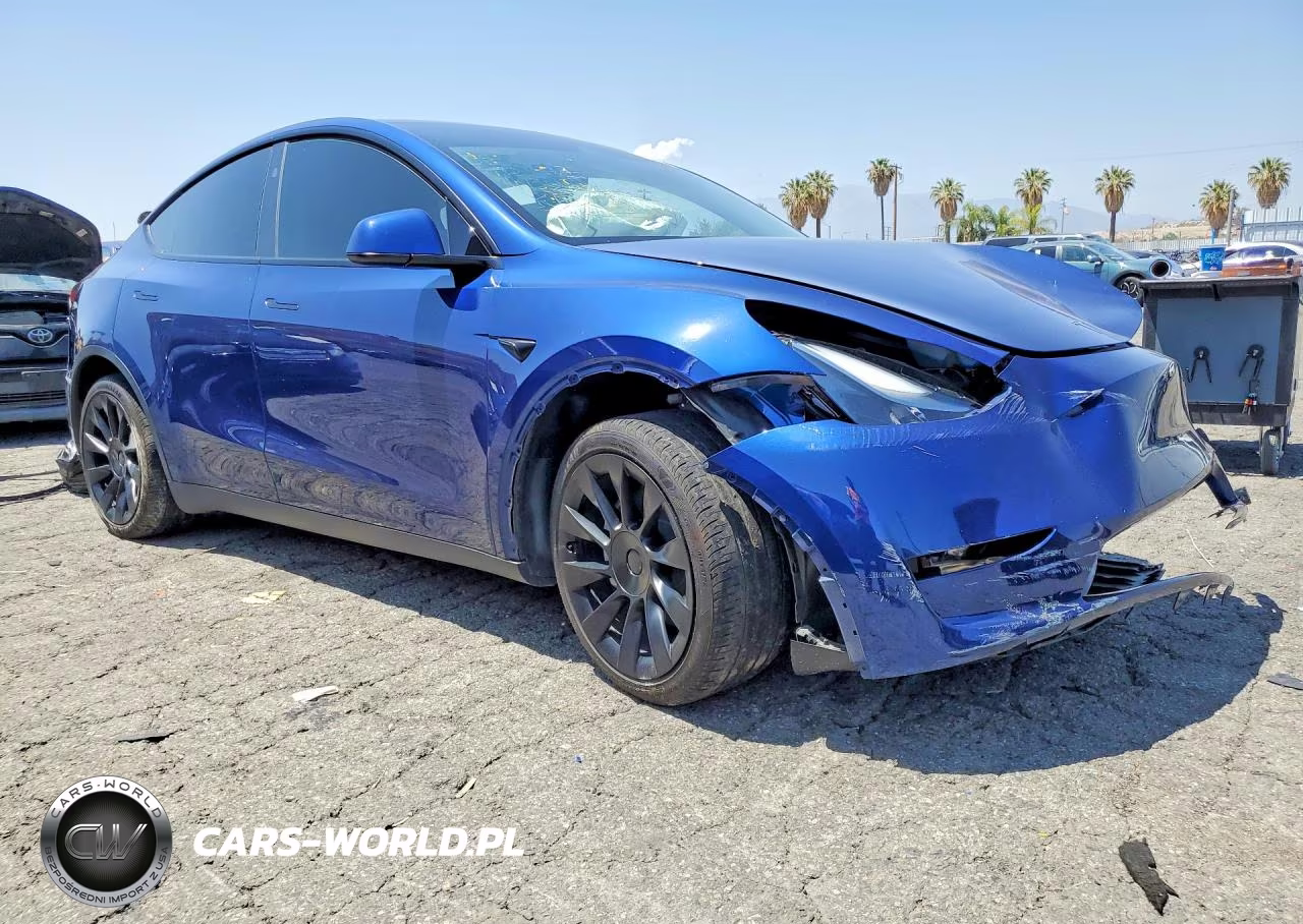2024 Tesla Model Y VIN:7SAYGDEE9RF025927 - 4