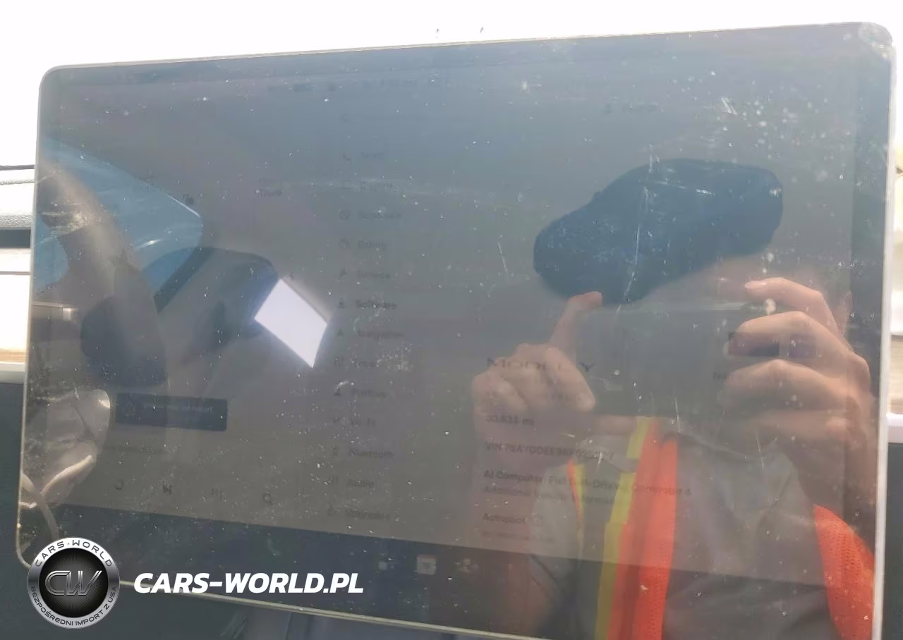 2024 Tesla Model Y VIN:7SAYGDEE9RF025927 - 9