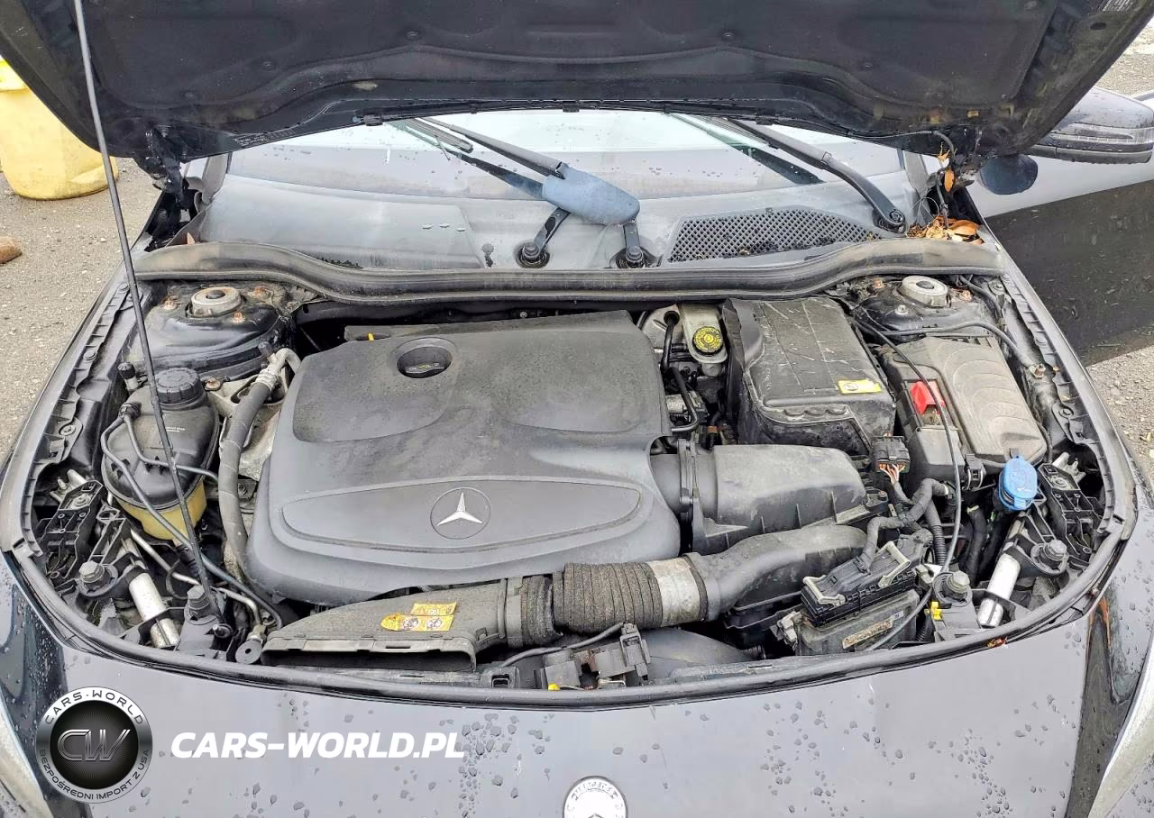 2014 Mercedes-Benz Cla 250 VIN:WDDSJ4EB7EN035061 - 11