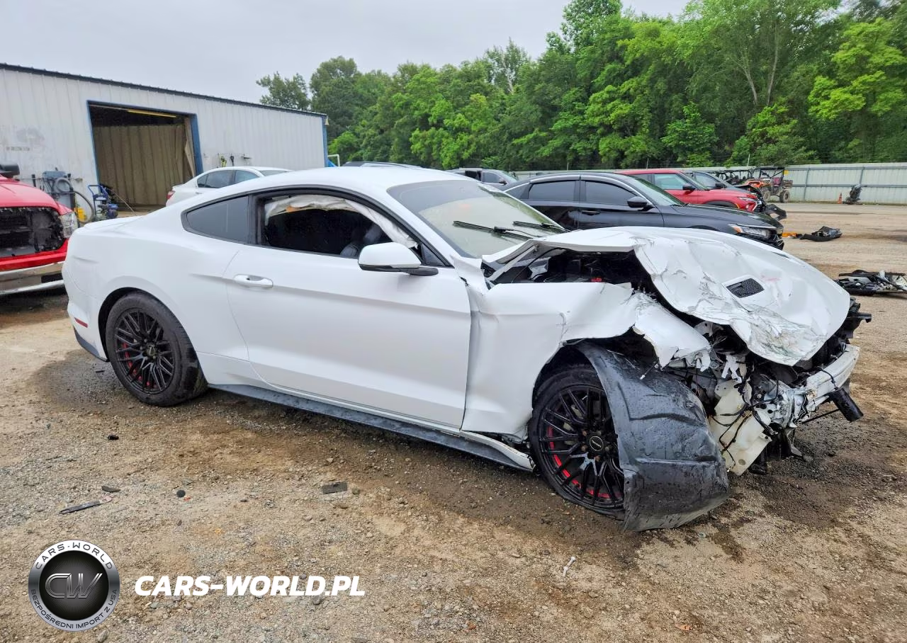 2020 Ford Mustang VIN:1FA6P8TH3L5134892 - 4