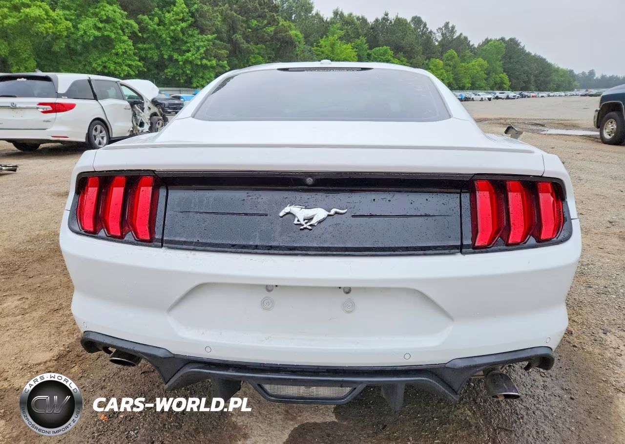 2020 Ford Mustang VIN:1FA6P8TH3L5134892 - 6