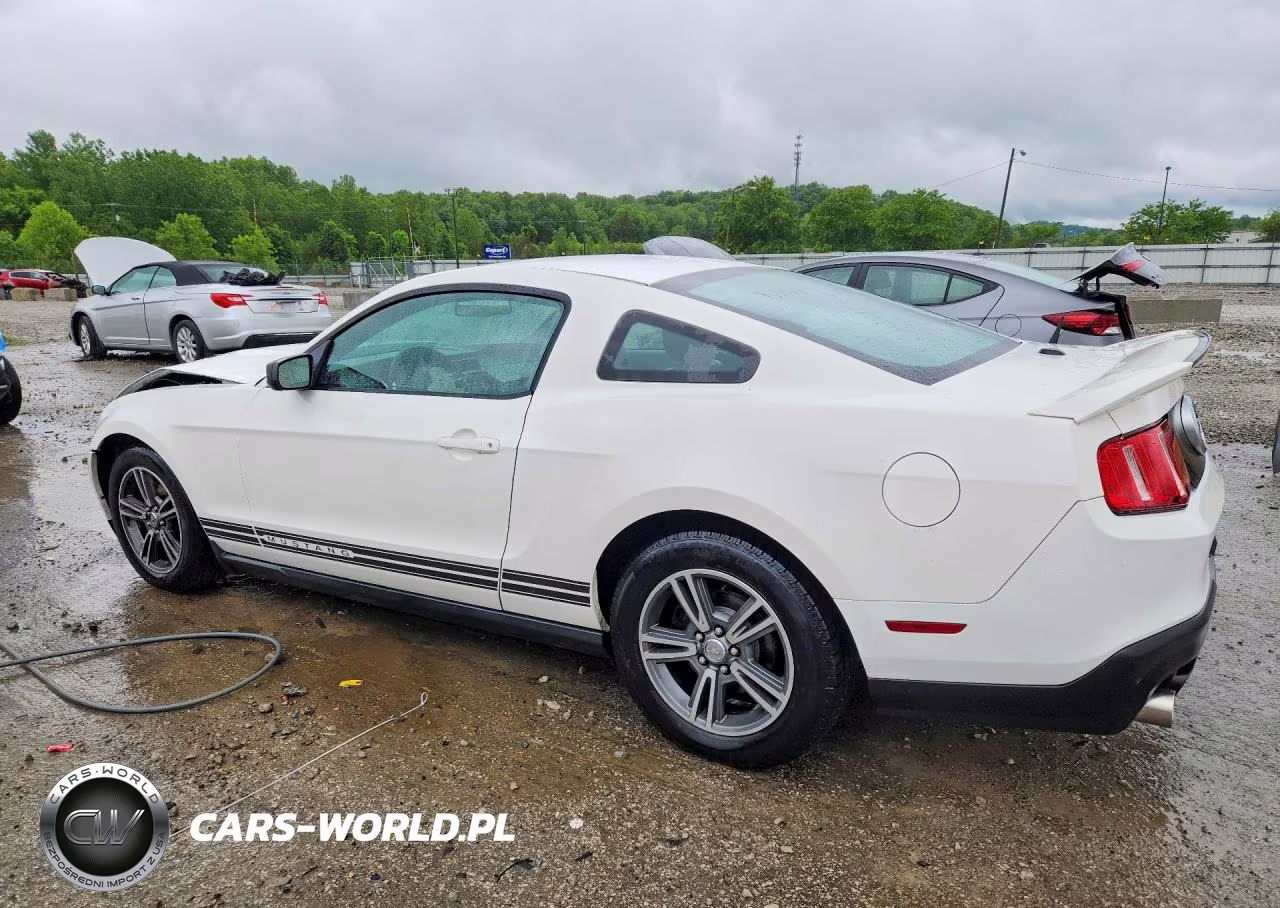 2010 Ford Mustang VIN:1ZVBP8AN1A5108173 - 2