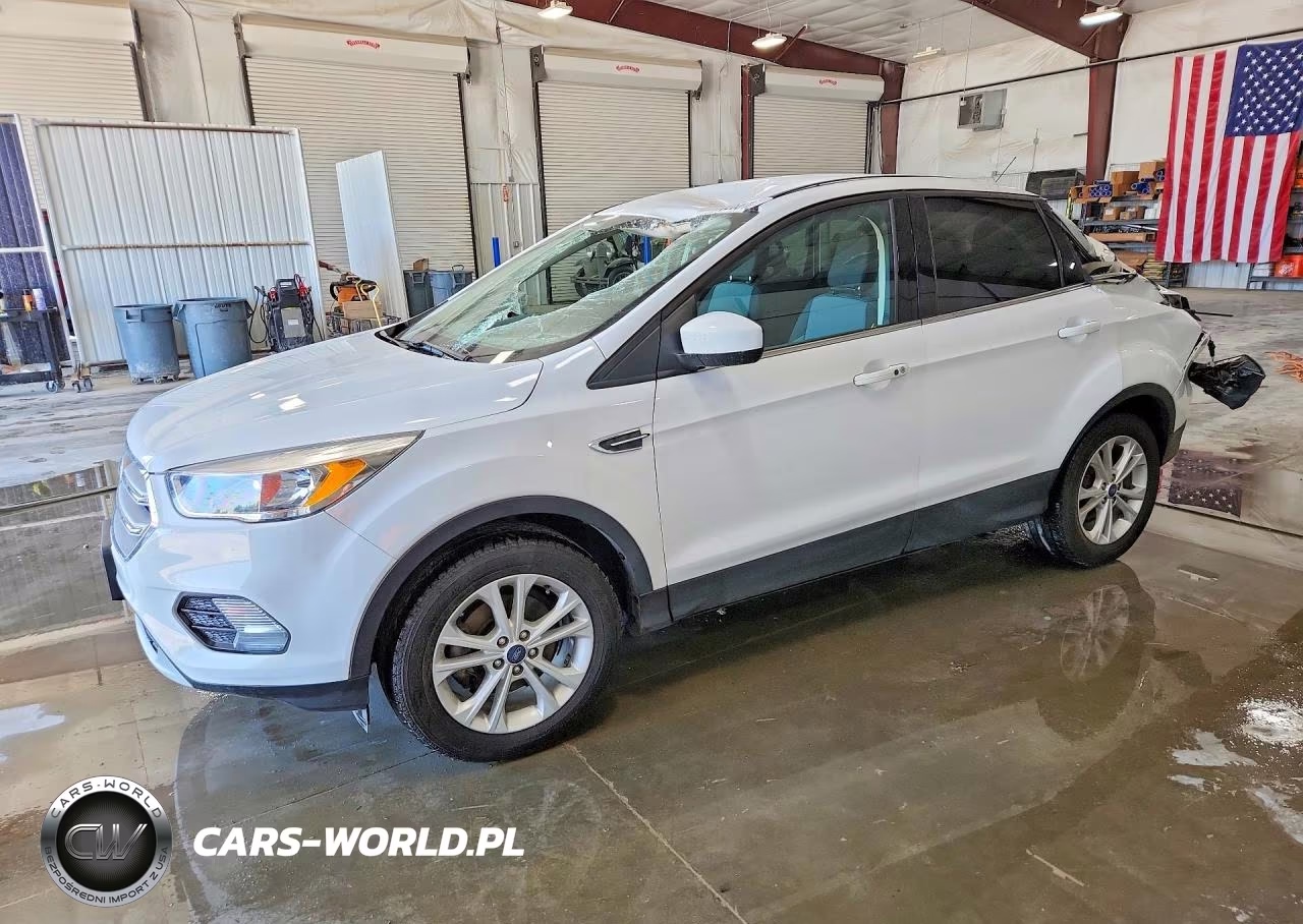 2019 Ford Escape Se