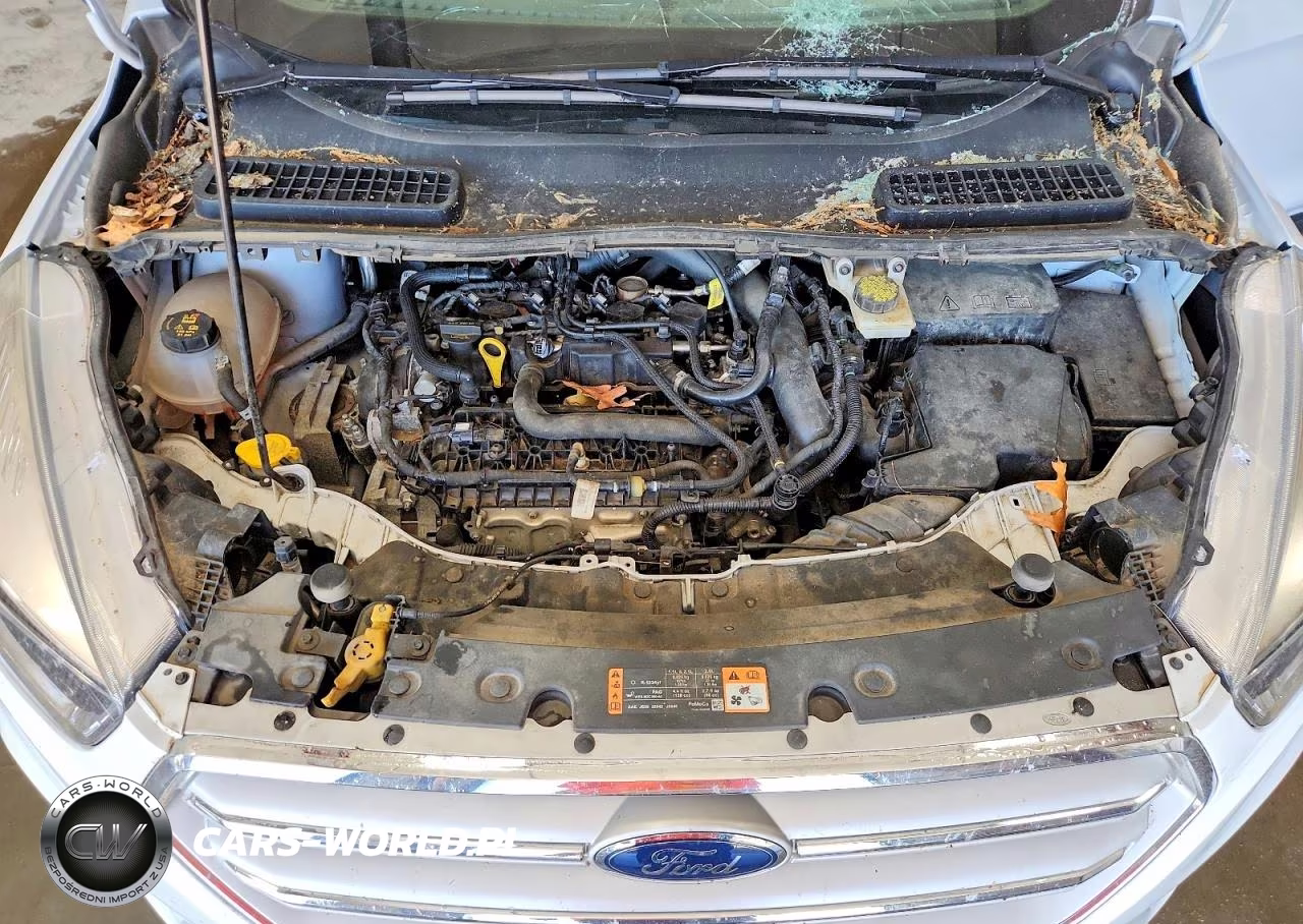 2019 Ford Escape Se VIN:1FMCU0GD3KUB78292 - 11
