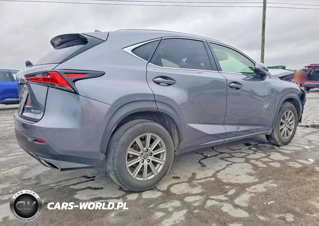 2018 Lexus Nx 300 Base VIN:JTJYARBZ4J2110097 - 3