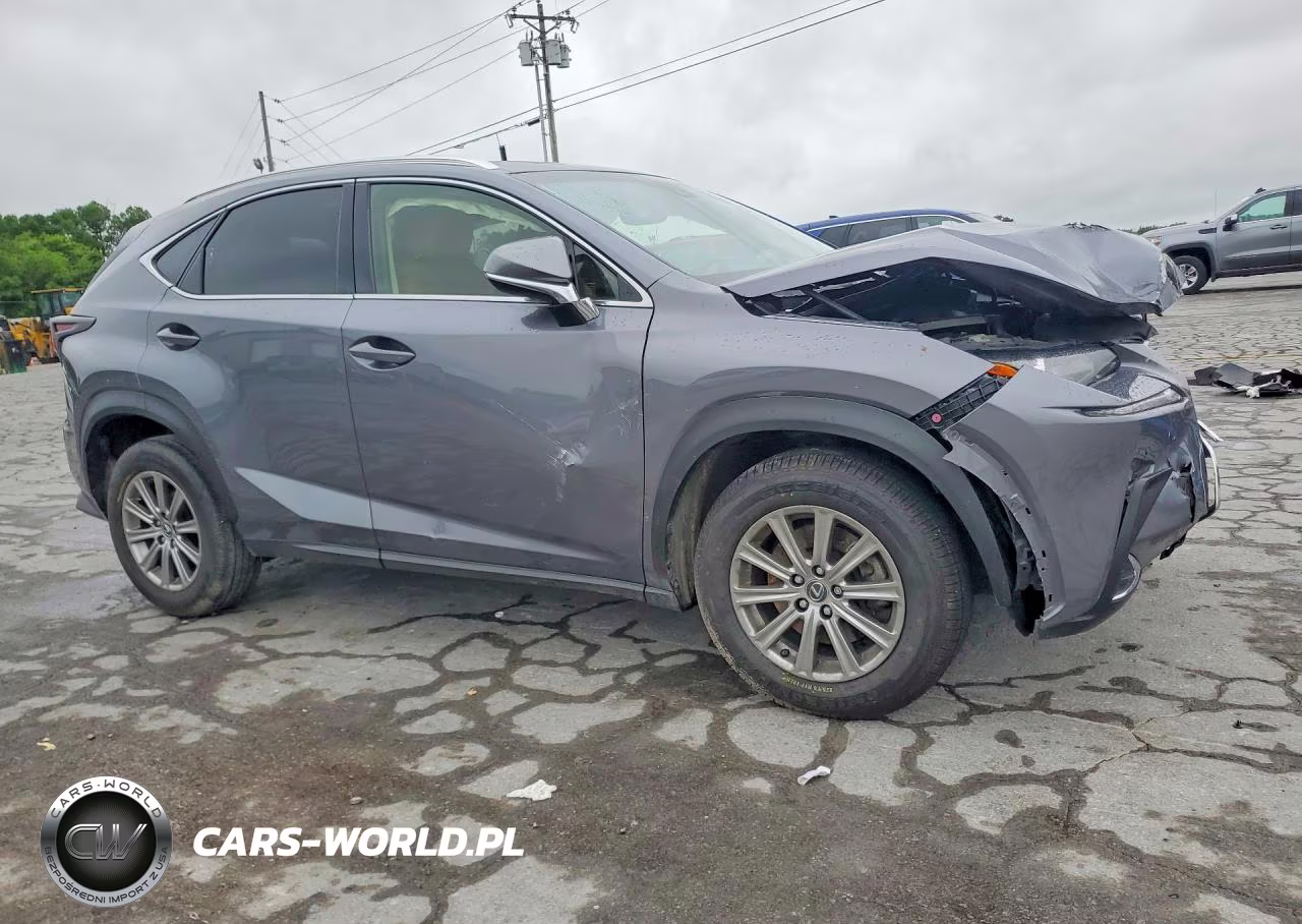 2018 Lexus Nx 300 Base VIN:JTJYARBZ4J2110097 - 4