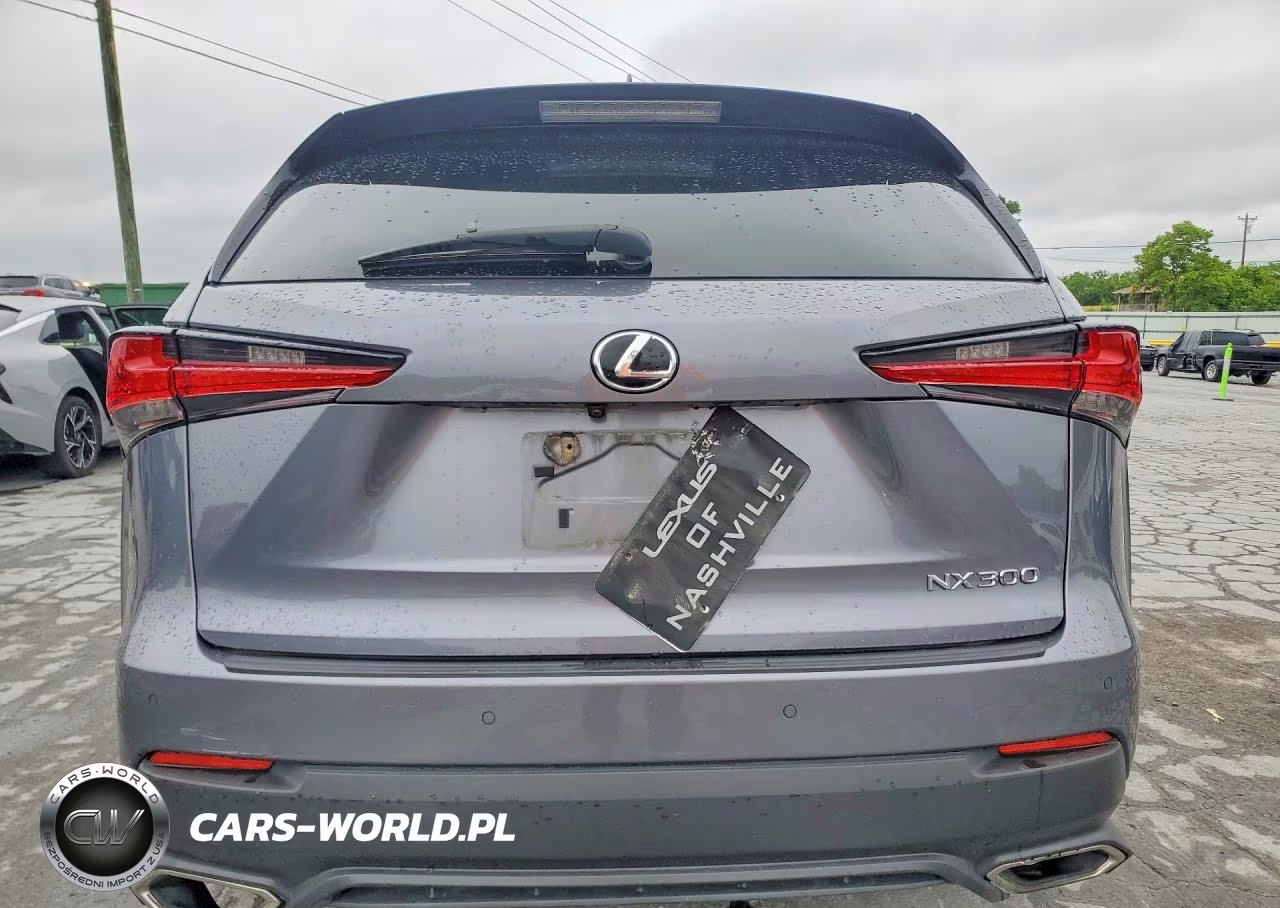 2018 Lexus Nx 300 Base VIN:JTJYARBZ4J2110097 - 6