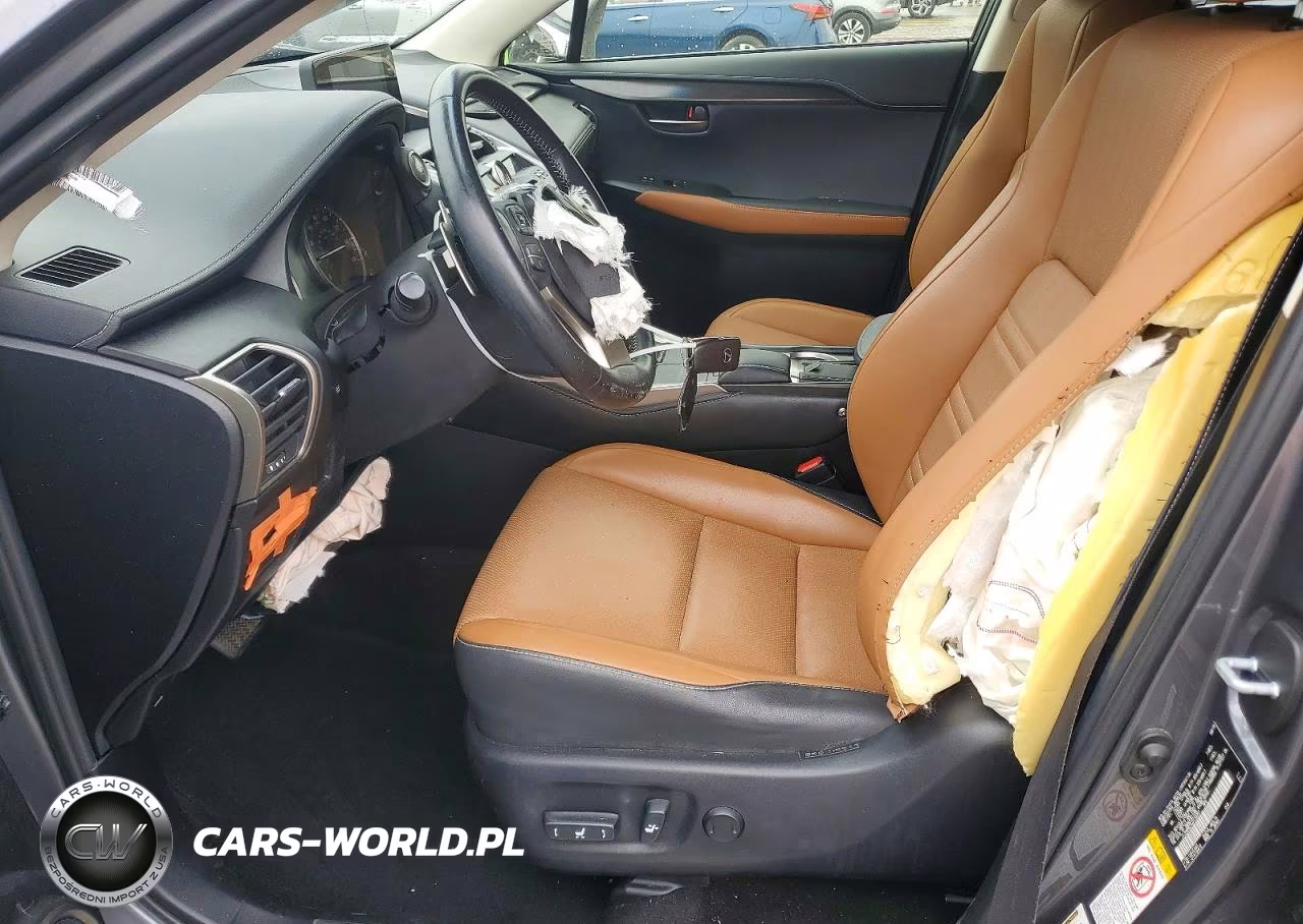 2018 Lexus Nx 300 Base VIN:JTJYARBZ4J2110097 - 7