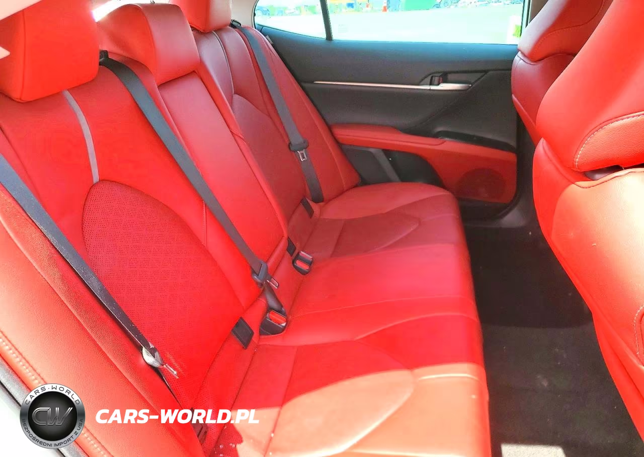 2019 Toyota Camry Xse VIN:4T1B61HK0KU250798 - 10