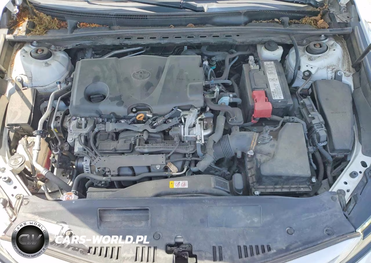 2019 Toyota Camry Xse VIN:4T1B61HK0KU250798 - 11