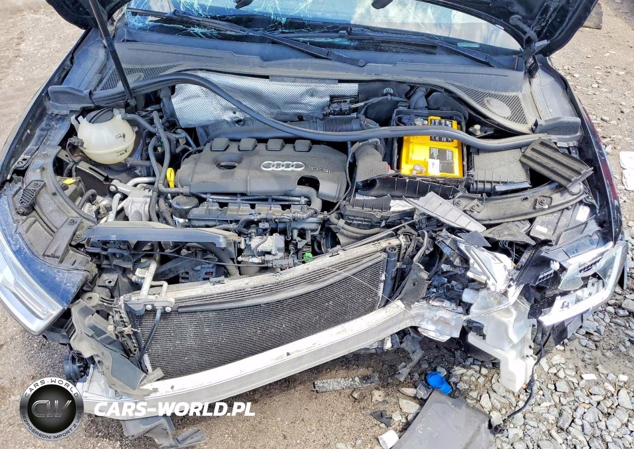 2016 Audi Q3 Premium Plus VIN:WA1EFCFS1GR001141 - 12