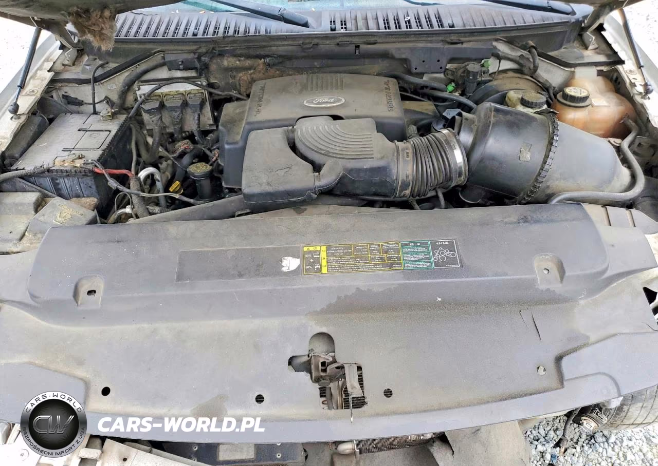 2004 Ford Expedition Eddie Bauer VIN:1FMPU17L94LB09744 - 12