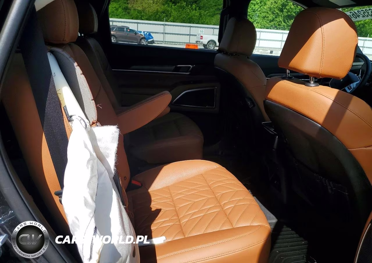 2025 Kia Telluride Ex X-Line VIN:5XYP3DGCXSG725129 - 11