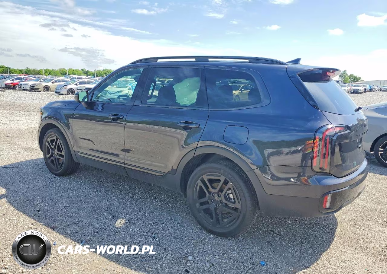 2025 Kia Telluride Ex X-Line VIN:5XYP3DGCXSG725129 - 2