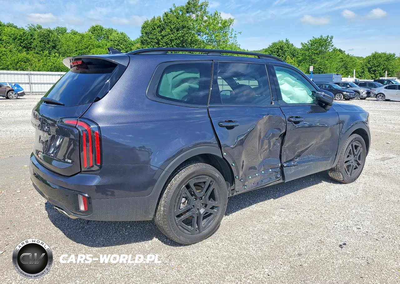 2025 Kia Telluride Ex X-Line VIN:5XYP3DGCXSG725129 - 3
