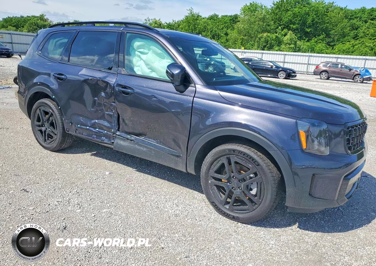 2025 Kia Telluride Ex X-Line VIN:5XYP3DGCXSG725129 - 4
