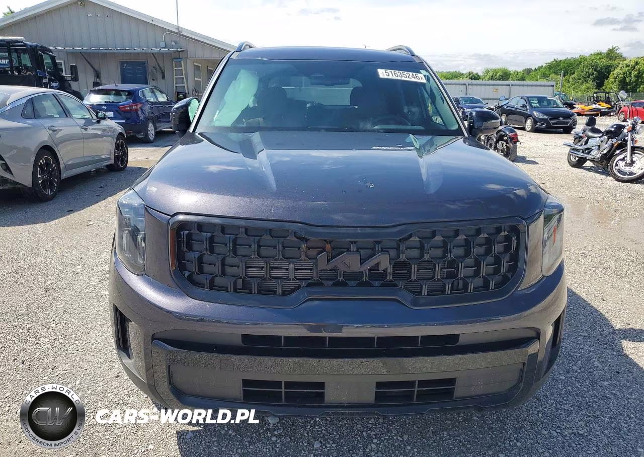2025 Kia Telluride Ex X-Line VIN:5XYP3DGCXSG725129 - 5