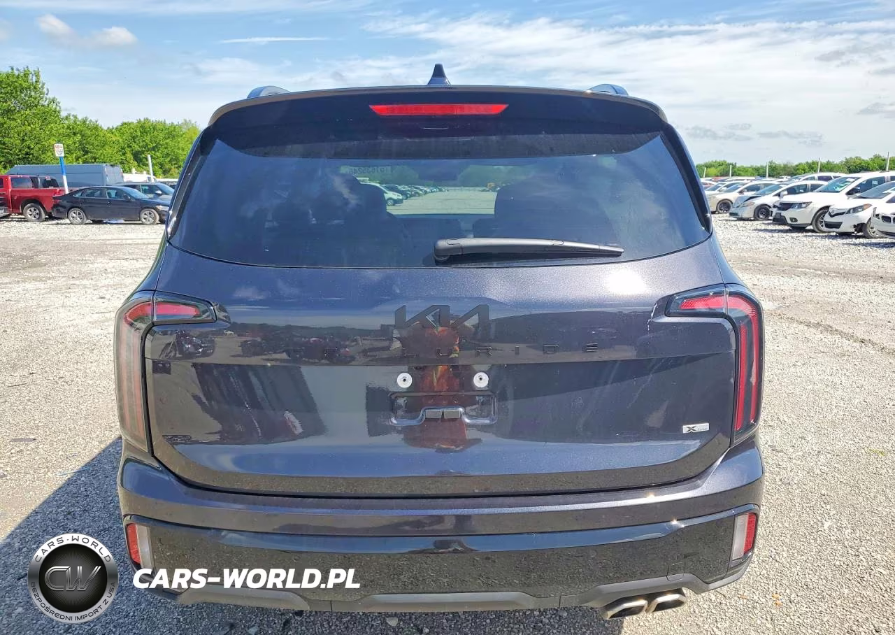 2025 Kia Telluride Ex X-Line VIN:5XYP3DGCXSG725129 - 6