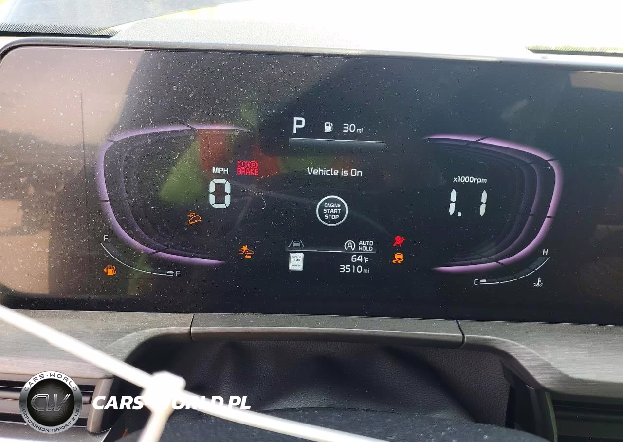 2025 Kia Telluride Ex X-Line VIN:5XYP3DGCXSG725129 - 9