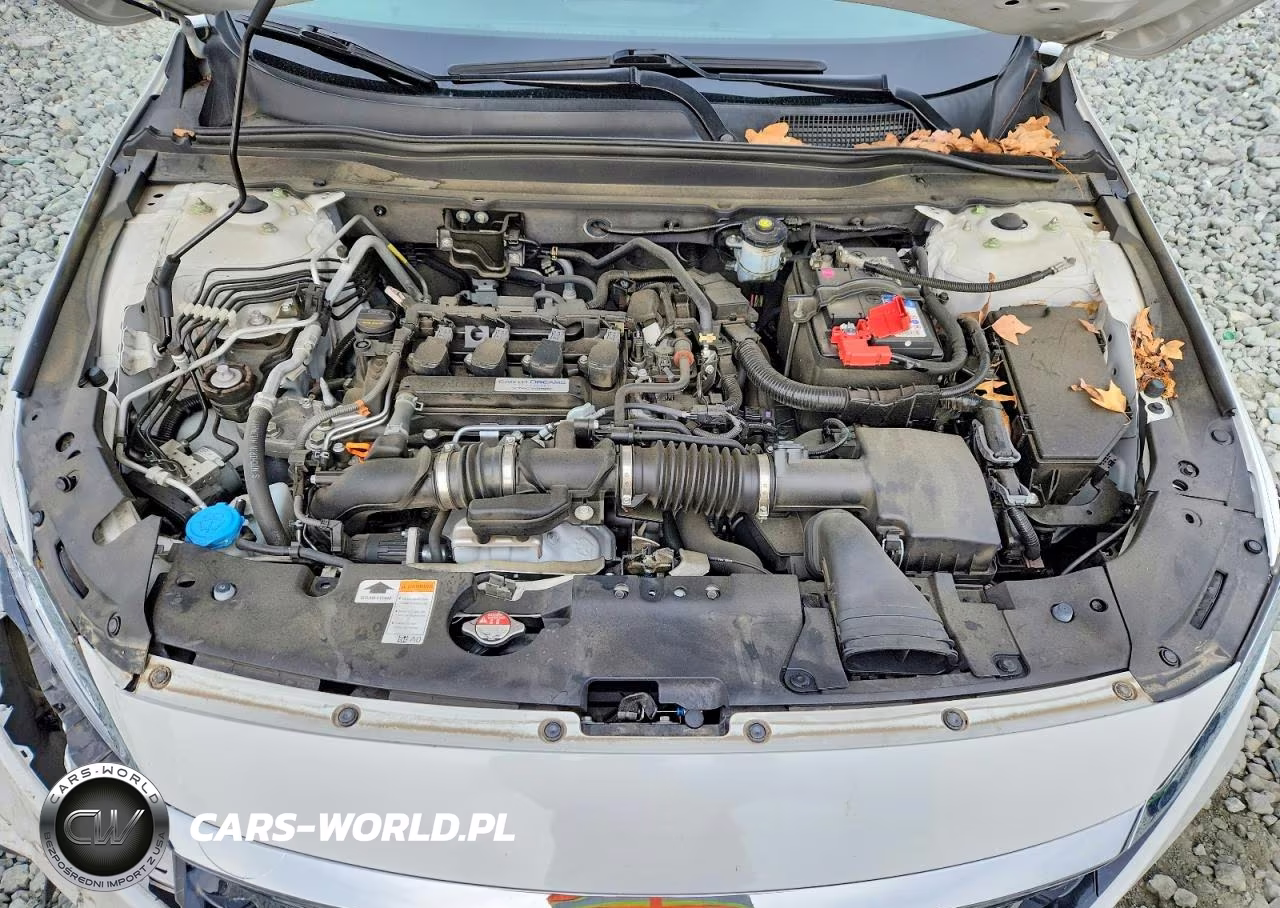 2019 Honda Accord Lx VIN:1HGCV1F18KA173073 - 11