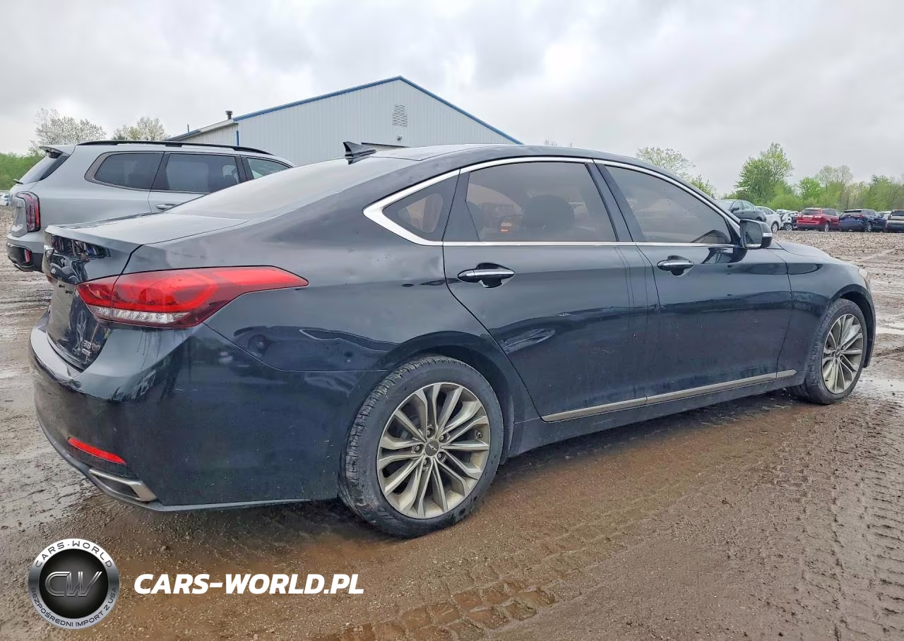 2017 Genesis G80 3.8 VIN:KMHGN4JE2HU202825 - 3