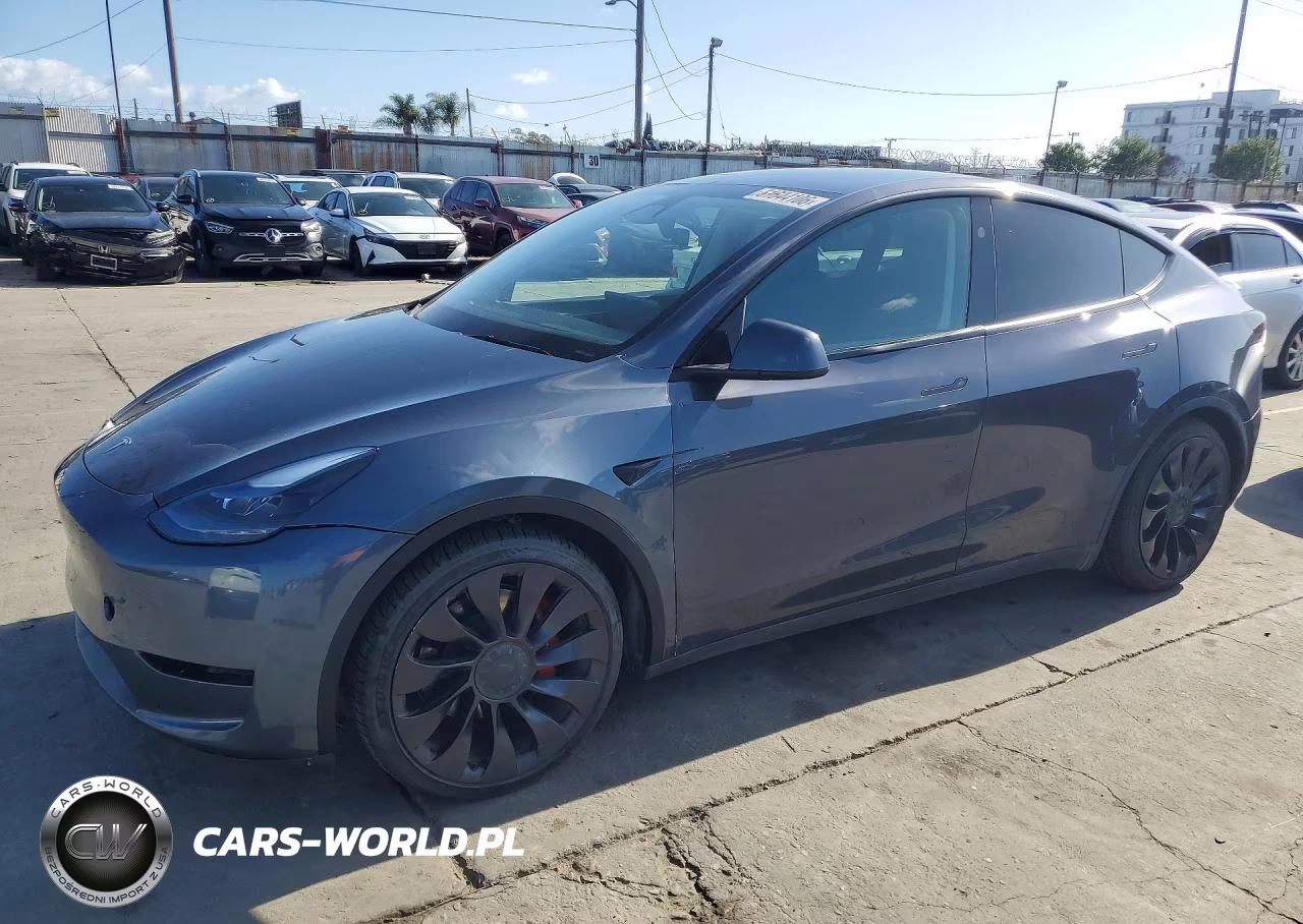 2023 Tesla Model Y