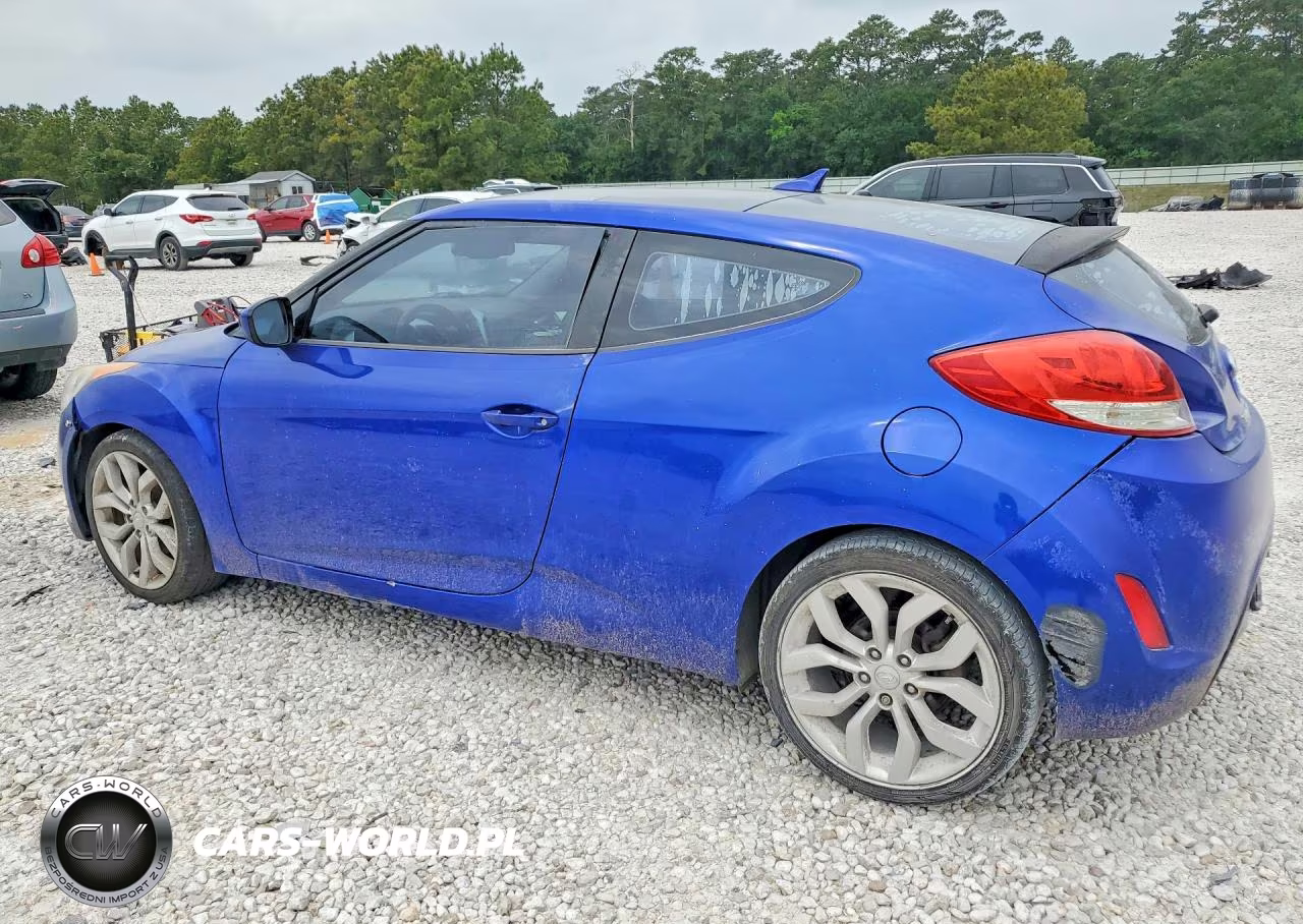 2013 Hyundai Veloster Base VIN:KMHTC6AD9DU117983 - 2