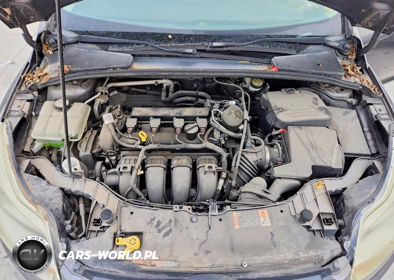 2014 Ford Focus Se VIN:1FADP3F26EL293437 - 11