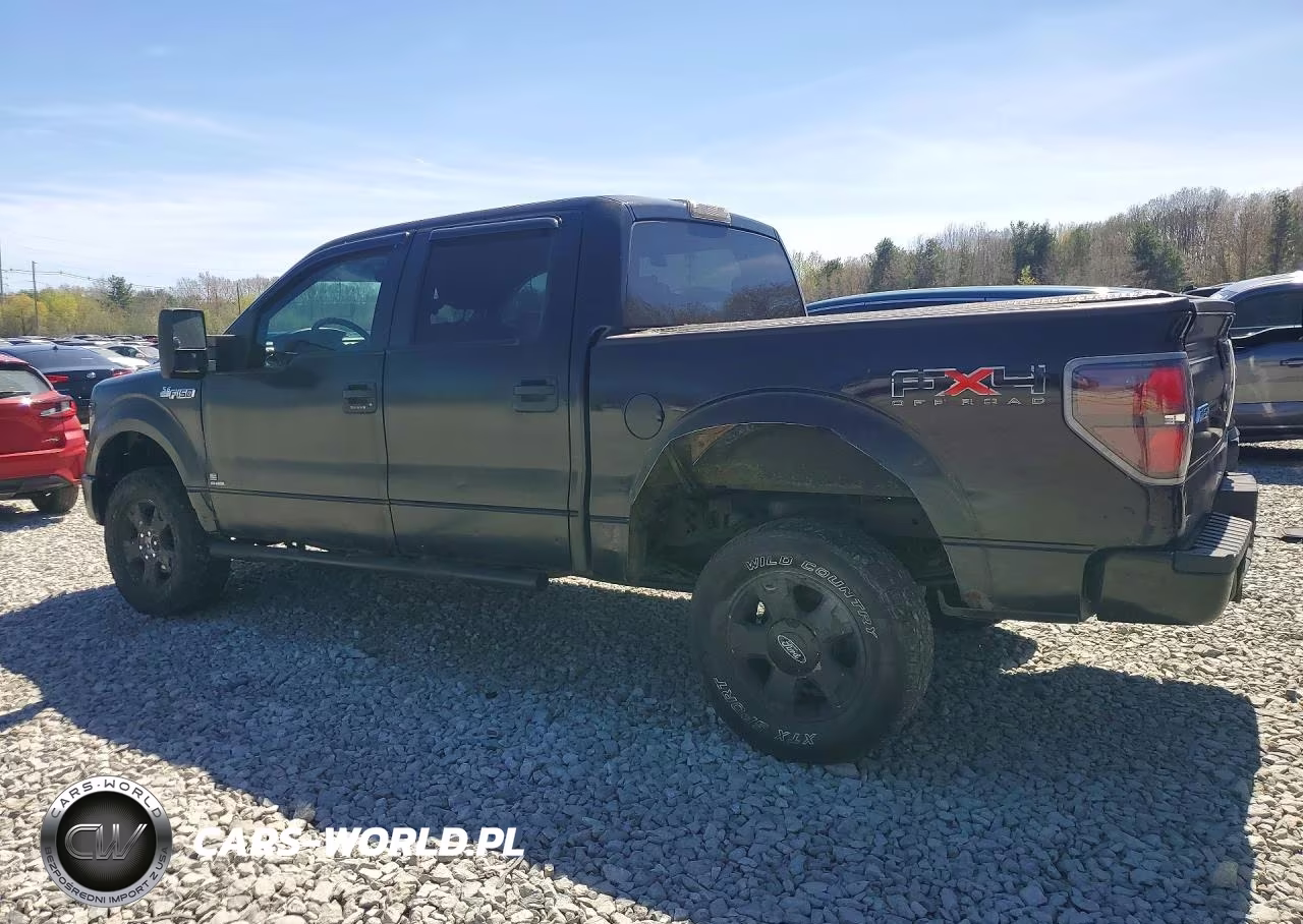 2009 Ford F150 Supercrew VIN:1FTPW14V69FA74350 - 2
