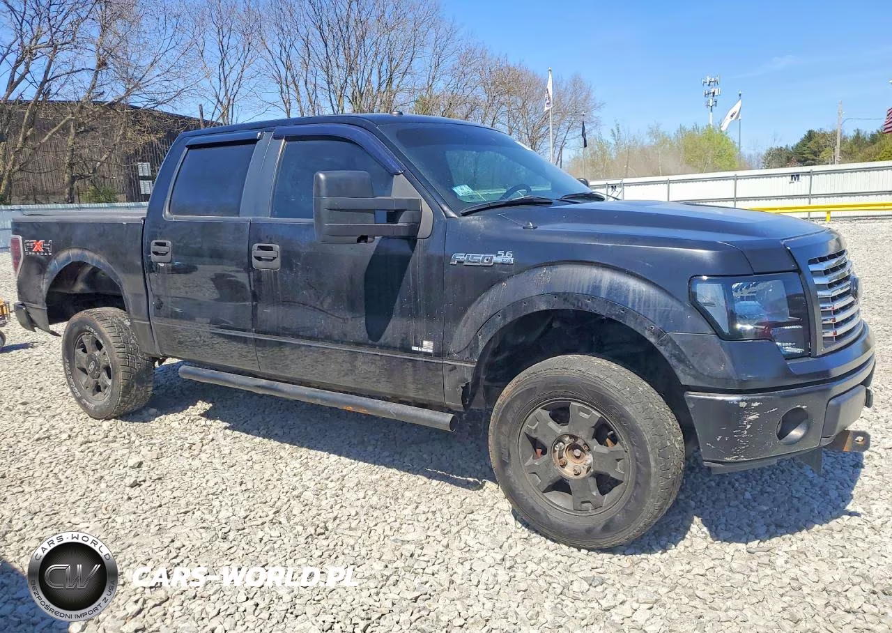 2009 Ford F150 Supercrew VIN:1FTPW14V69FA74350 - 4