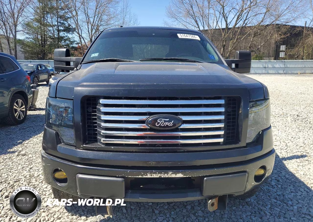 2009 Ford F150 Supercrew VIN:1FTPW14V69FA74350 - 5