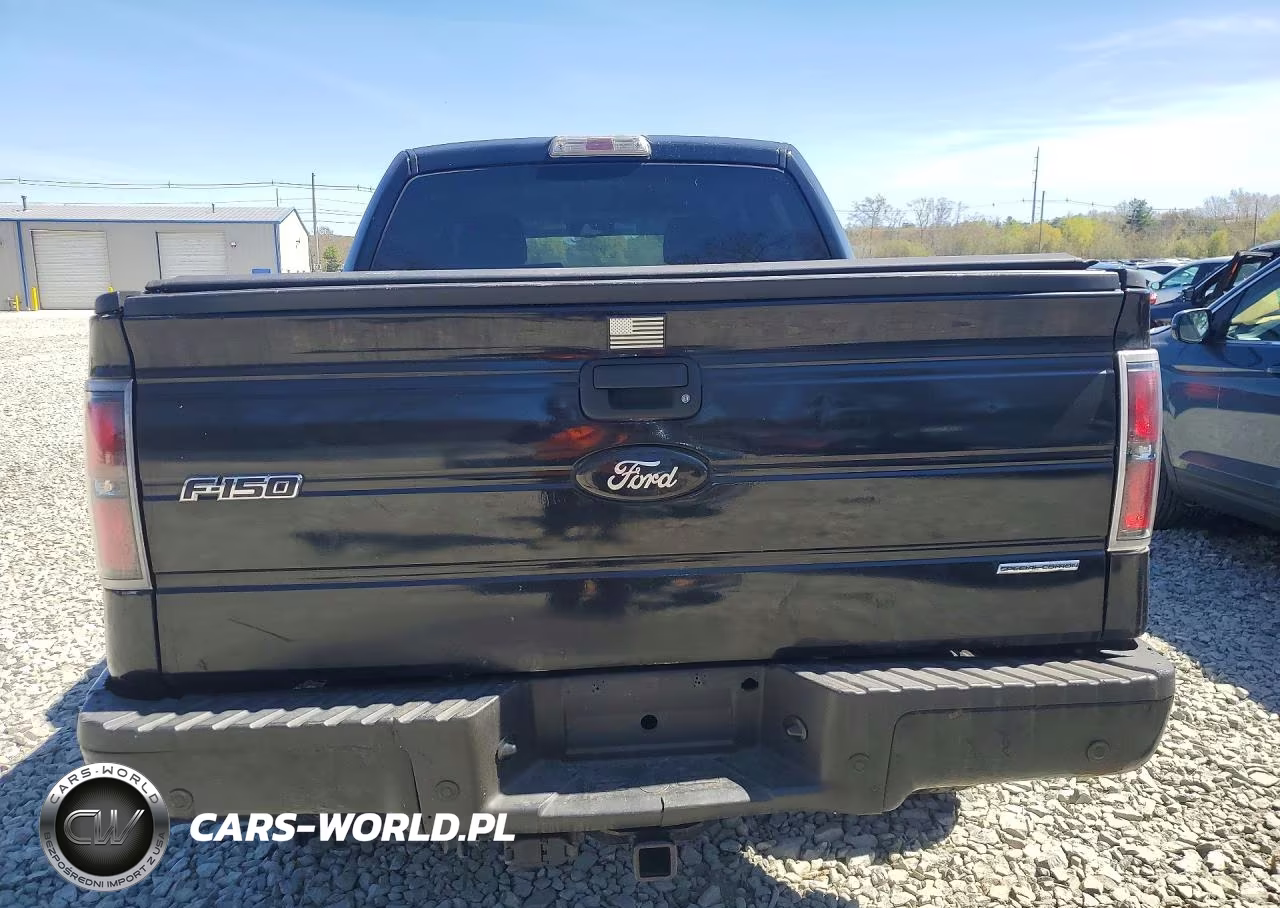 2009 Ford F150 Supercrew VIN:1FTPW14V69FA74350 - 6