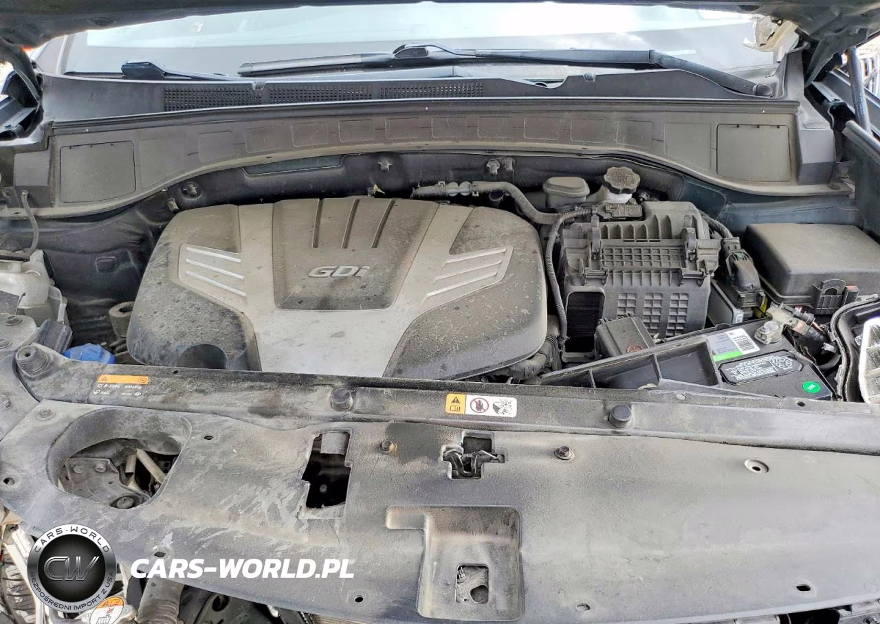 2017 Hyundai Santa Fe Se Ultimate VIN:KM8SR4HF8HU210330 - 11