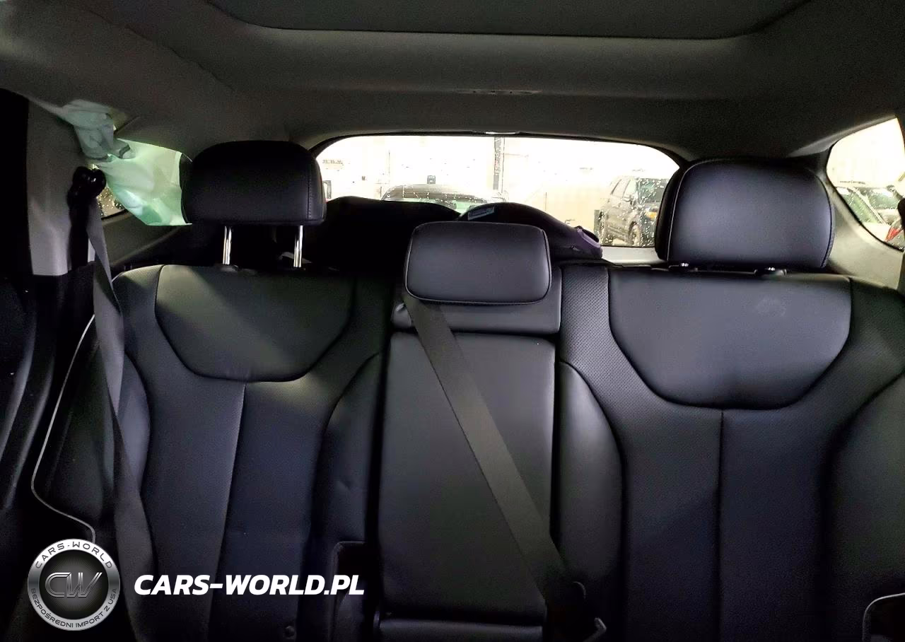 2023 Hyundai Santa Fe Limited VIN:5NMS5DA14PH022666 - 10