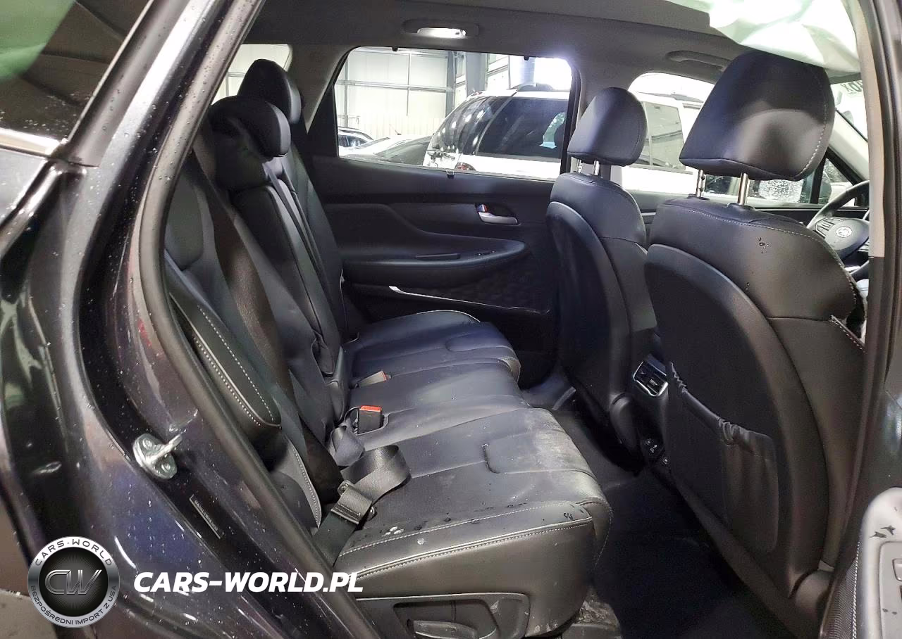 2023 Hyundai Santa Fe Limited VIN:5NMS5DA14PH022666 - 11