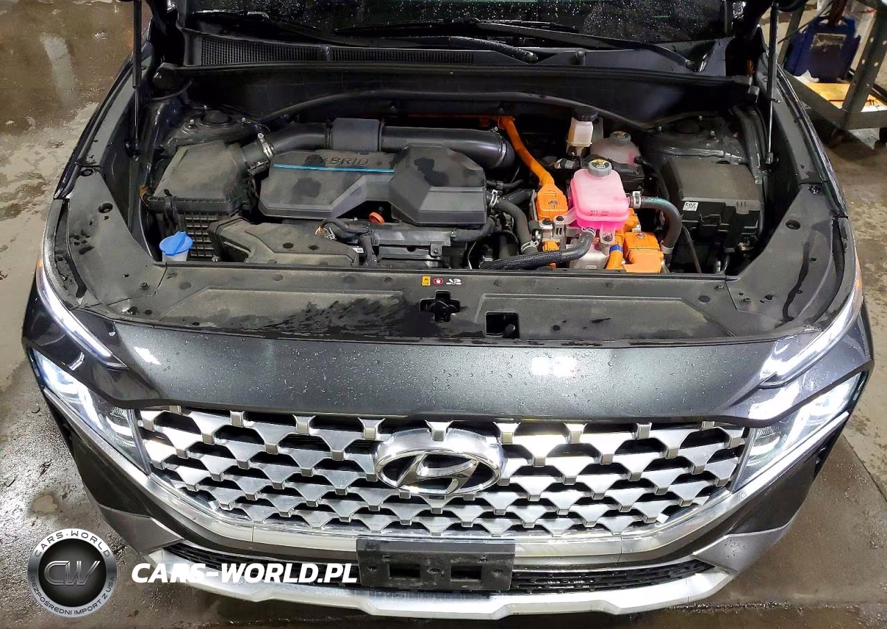 2023 Hyundai Santa Fe Limited VIN:5NMS5DA14PH022666 - 12