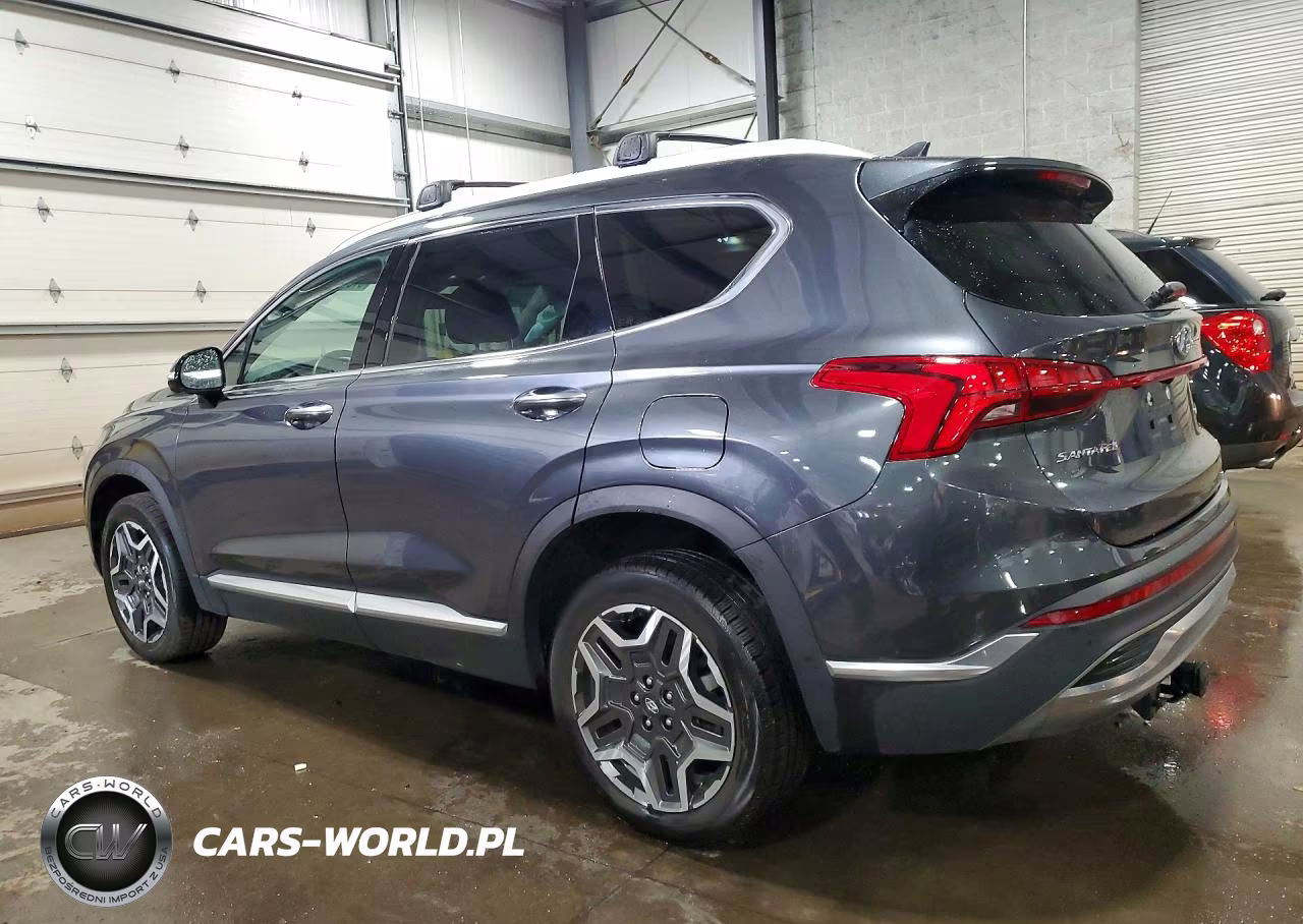 2023 Hyundai Santa Fe Limited VIN:5NMS5DA14PH022666 - 2
