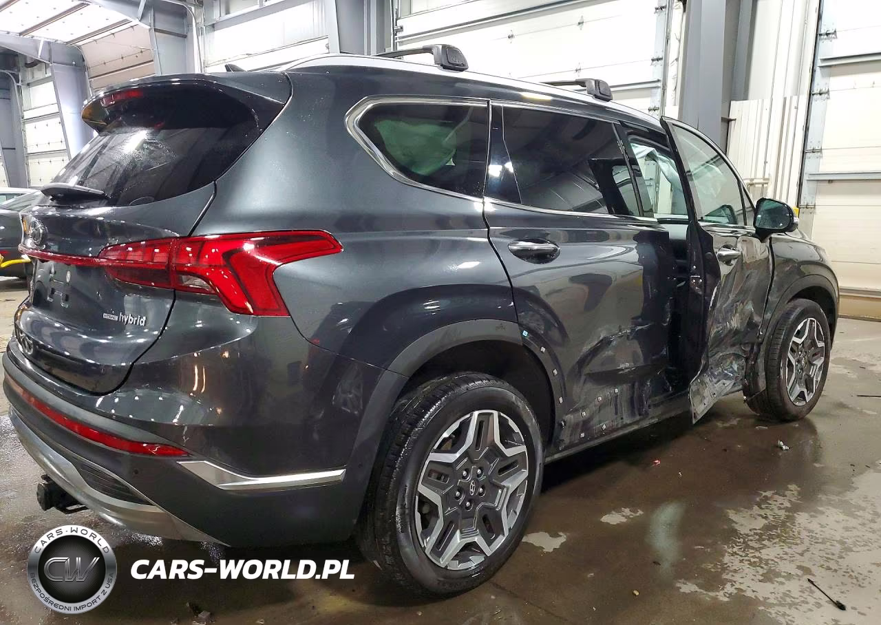 2023 Hyundai Santa Fe Limited VIN:5NMS5DA14PH022666 - 3
