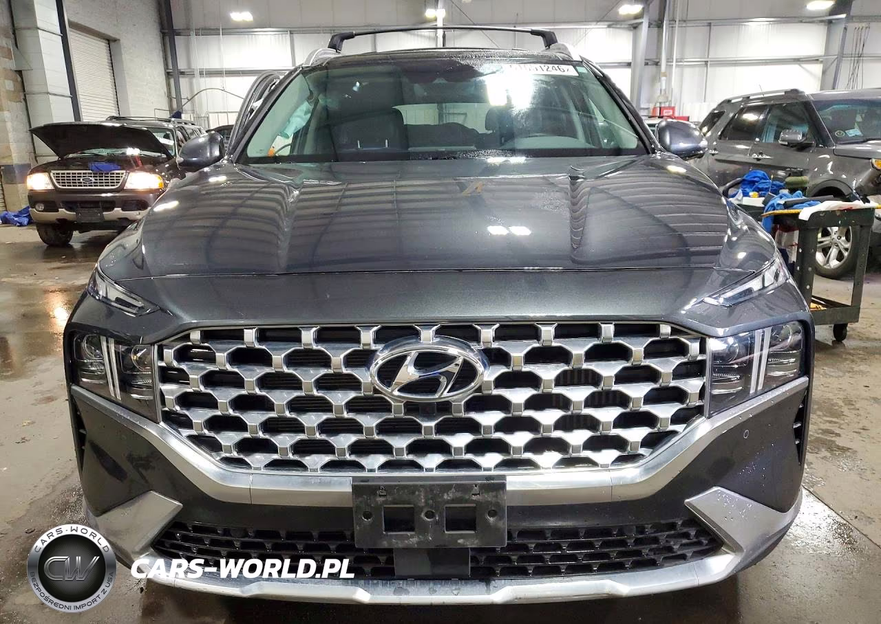 2023 Hyundai Santa Fe Limited VIN:5NMS5DA14PH022666 - 5