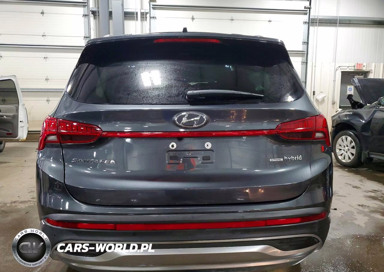 2023 Hyundai Santa Fe Limited VIN:5NMS5DA14PH022666 - 6