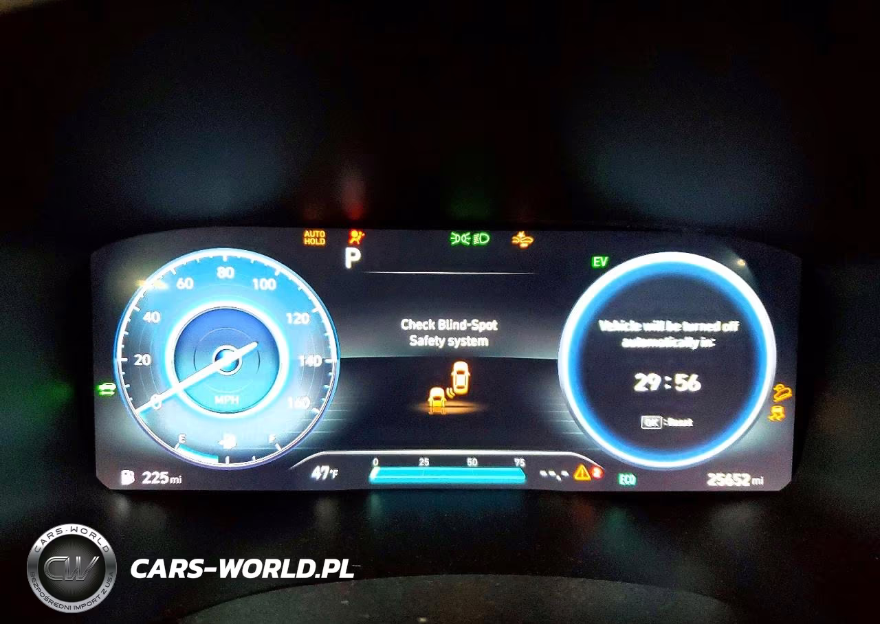 2023 Hyundai Santa Fe Limited VIN:5NMS5DA14PH022666 - 9
