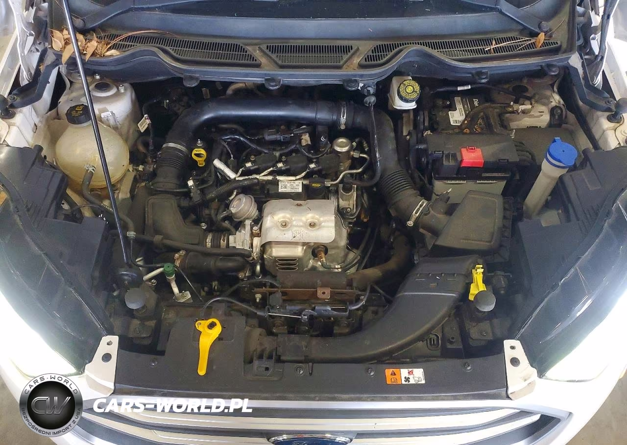 2020 Ford Ecosport Se VIN:MAJ3S2GE8LC319272 - 12